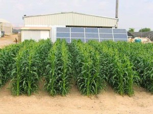 World experience in the use of solar energy in agriculture