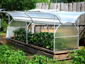 Greenhouse ventilation requirements