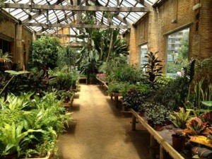 Mold in the winter garden: what will happen if the problem is not solved?