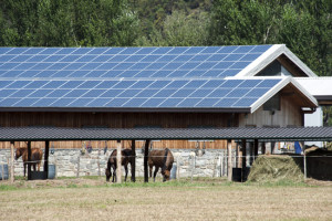 Reducing costs with solar panels