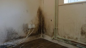 The influence of mold on a townhouse