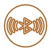 Bronze starburst logo with radiating sound waves.