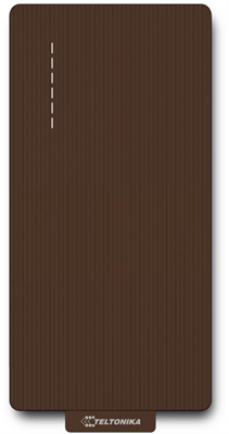 Vorderseite Teltonika TeltoCharge EVC2, braun (mit Kabel)