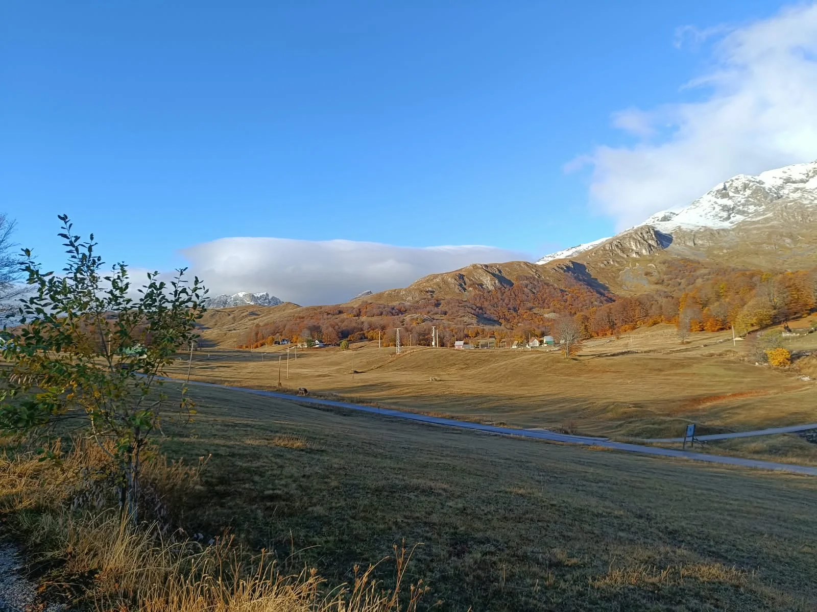 Sunny autumn valley in Durmitor with snow-capped peaks